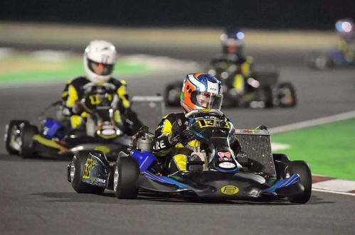 第一步：搜集材料，Zuo好准备工作