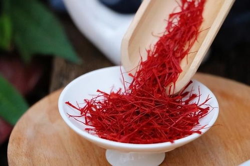 藏红花泡水，体质不同