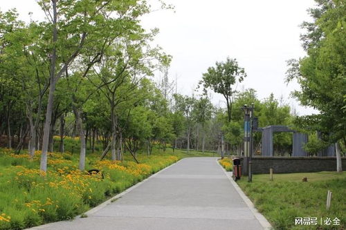 耐寒耐旱， 适应北方气候