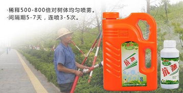 喷施蒸腾抑制剂， 减少水分蒸发