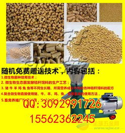 水产饲料生产加工过程中，如何确保饲料营养成分的稳定性和安全性？