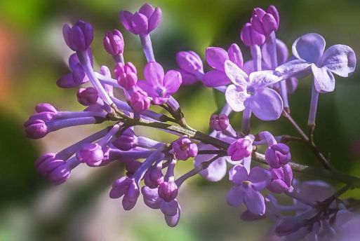 遇到连续阴雨怎么办？
