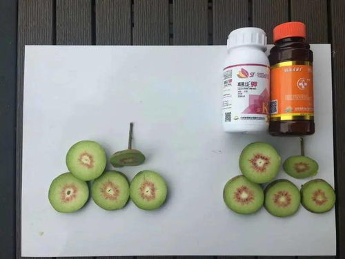芸苔素过量使用有何危害？这篇文章为你揭晓