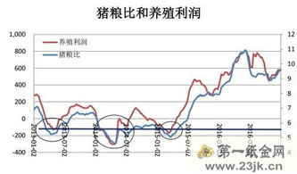 生猪存栏量与出栏量之间是否存在某种周期性关系？