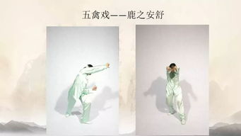 雅乐之华叶美冬护指南，赏心悦目养心术