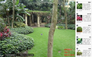 小白必备：公园植物选择小技巧