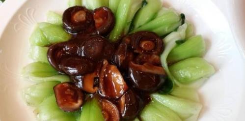 草菇：高蛋白、低脂肪