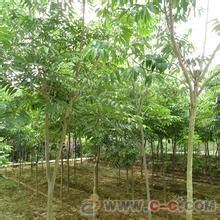 价格差异：大不大呢？