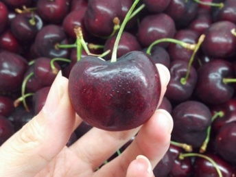 单核樱桃的特点