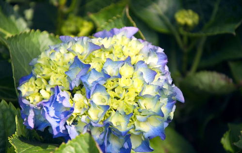 八仙过海的花费，那可就梗多啦！