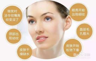 胶原蛋白补充剂