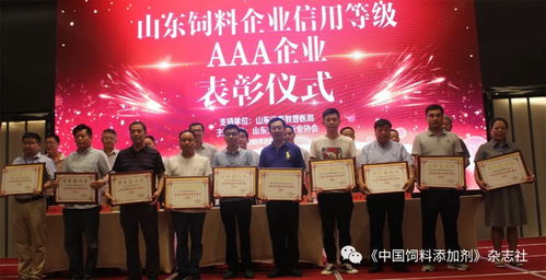 山东省饲料行业协会会长山东昱合集团，请问该集团在饲料行业的发展战略有哪些特点？