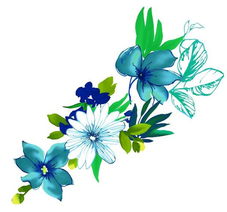 仙人掌：耐旱耐热的沙漠之花