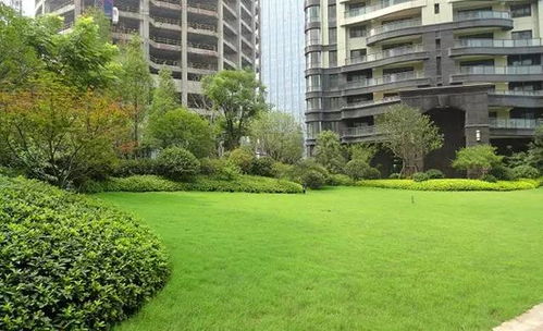 园林布局形式依据哪些条件？