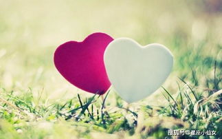 上升双鱼：外表与社交