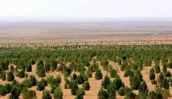 独家数据大放送