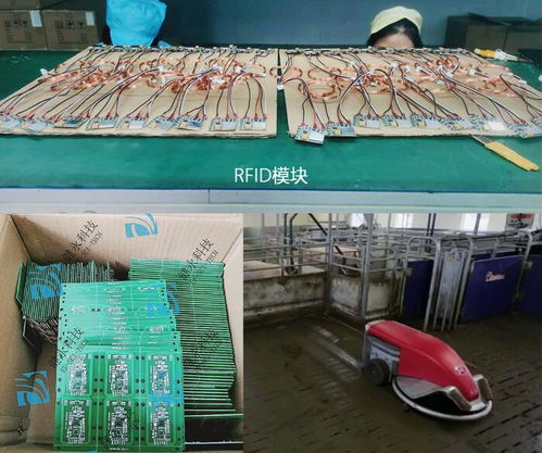 RFID猪场智能管理系统，精准养殖