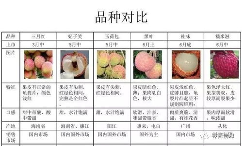 冬季水果上市时间表，你猜冬天都有哪些水果呢
