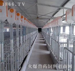 中国养猪设备创新升级之路（二）