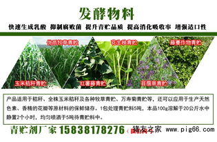 饲料发酵剂在哪些地方可以购买？发酵饲料的定义是什么？