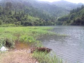 控制种植密度， 保障航道平安