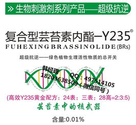 芸苔素：植物生长的神奇力量