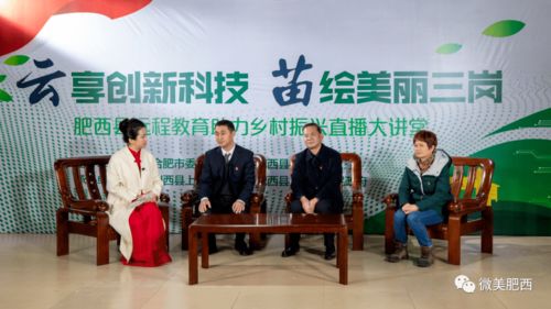 肥西上派镇：花木之乡的云享乡村振兴之旅