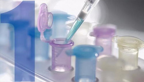 探寻神秘杀菌剂：阴离子Zui佳拍档