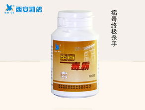 鸽子拉绿便原因及土霉素治疗指南