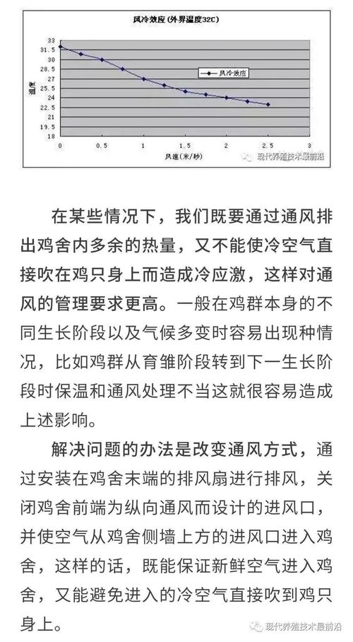 春季鸡舍通风换气，实践应用过渡式通风技术
