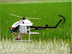 尉氏县的农药揭秘