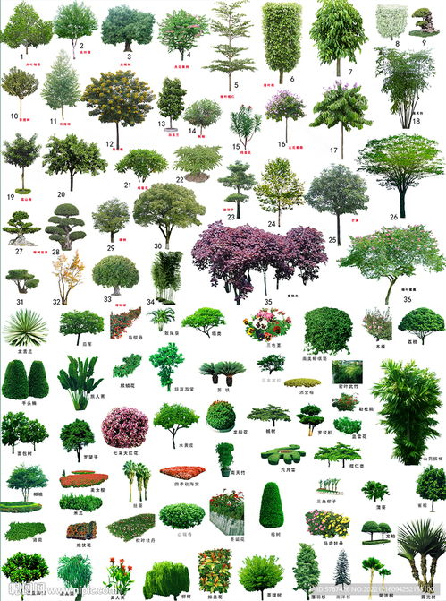 园艺的基础学科，你知道几个？