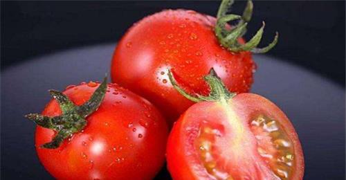 西红柿西红柿，红红的太阳