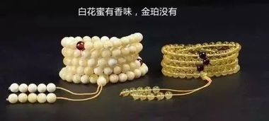 生石花贵货品种大盘点，这些品种值得收藏