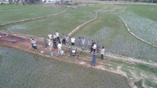 四、 精准配比，保护作物，保护环境
