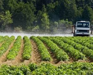 Zui佳打药时间：上午8点至10点或下午5点之后