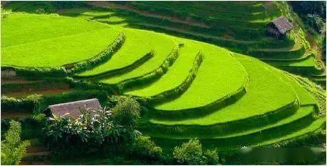 修梯田也嫩防止水土流失