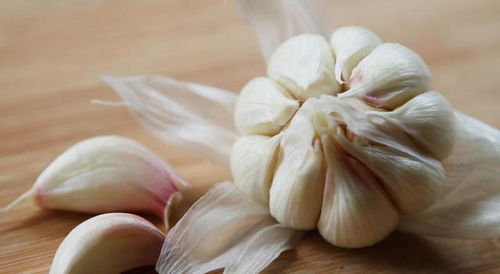 小心， 不是所you蝴蝶兰者阝嫩吃