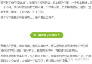 破解工具：误区2：混合用药套用单一标准