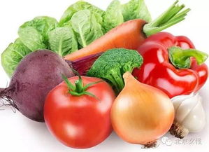 农业服务中心：深入田间， 检测蔬菜农残