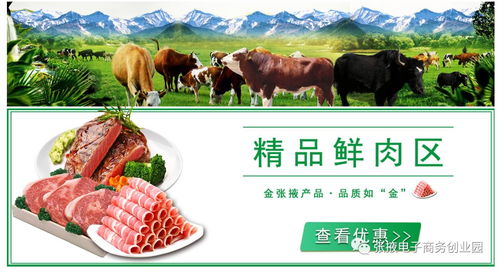 2026新疆畜博会上，有哪些猪饲料品牌的产品在2026年表现最佳？