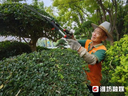 1. 园林绿化养护修剪工的岗位主要职责