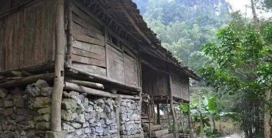 邢台衙门判假种子案