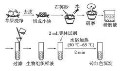 高氯甲维盐：作物上的神奇守护者