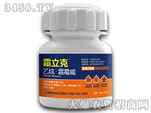 泥鳅白尾病克星：特效药盘点