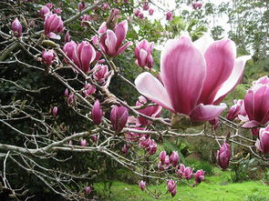 下种后的注意事项