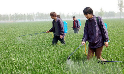 一亩地用多少农药？