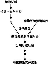 八、 物理方法