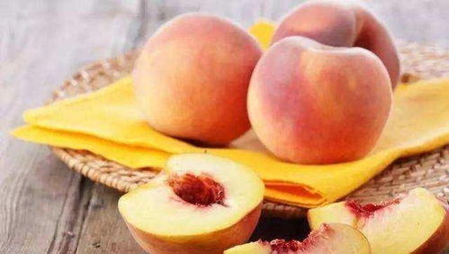 嫁接种植， 成本低收获高