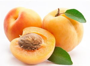 浸泡催芽， 吸足水分